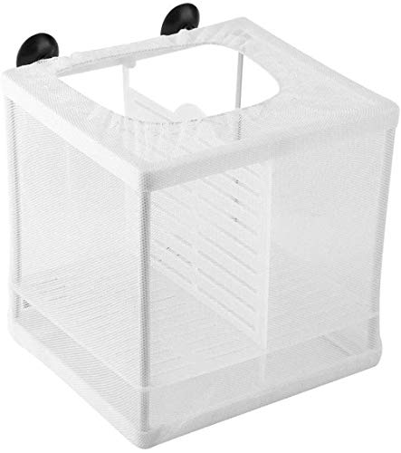 CLQ Fischinkubator Mesh Box Aquarium Zuchtbrut Aquarium Isolationsbox Fischzucht Box Jungfisch Brutstätte Inkubator Mit Isolationsbrett von CLQ