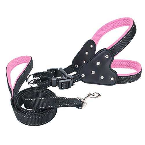 CLQ Hundehalsband Pet Harness Vest Lead Set Explosionsgeschütztes, Reflektierbares, Verstellbares Welpen-Katzenhalsband Für Kleine, Mittelgroße Hunde von CLQ