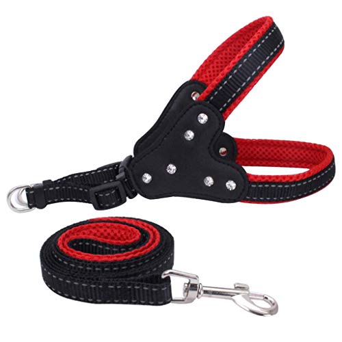 CLQ Hundehalsband Pet Harness Vest Lead Set Explosionsgeschütztes, Reflektierbares, Verstellbares Welpen-Katzenhalsband Für Kleine, Mittelgroße Hunde von CLQ