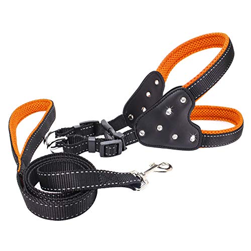 CLQ Hundehalsband Pet Harness Vest Lead Set Explosionsgeschütztes, Reflektierbares, Verstellbares Welpen-Katzenhalsband Für Kleine, Mittelgroße Hunde von CLQ