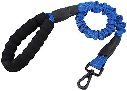 CLQ Hundetraktionsseil Haustiere Hunde Elastische Leine Anti-Pull-Stoßdämpfende Bungee-Hundeleine Premium Starke Elastische Leine Für Hunde Mit Verkehrskontrollgriff - Schaumstoffgriff 2 Farben von CLQ