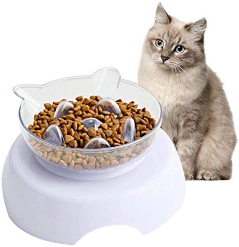 CLQ Katzen Slow Eating Bowl Abnehmbare Wäsche Transparent 15 ° Heben Geneigte Haustierfütterungsschüssel Mit Pp Robuster Boden Hundenapf Erhöhte Katze Mit Futterständer von CLQ