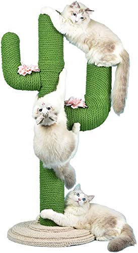 Cat Climbing Frame, 31 "großer Cactus Scratching Post Mit Sisalseil, Pädagogisches Cat Scratching Toys Für Katzen, Geeignet Für Alle Katzen von CLQ