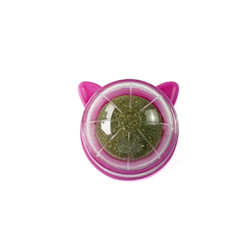 CLSSLVVBN Catnip Ball Ersatz Runde Interaktive 360 Grad Drehbare Feuchtigkeitsfeste Zähne Reinigung Snack Lecken Haustier Spielzeug Spielzeug, Rosenrot von CLSSLVVBN