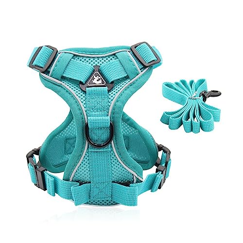 CLSSLVVBN Pet Harness Reflektierende, verstellbare Tierweste für Nylon Leine, Atmungsaktives, Brustgurt, Seil, Sicherheitsgurt, Wandern von CLSSLVVBN