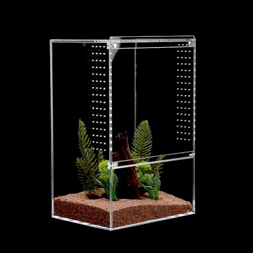 Springspinnengehege, Frontöffnung, Insektenschnecke, Baum, Frosch, Terrarium, 20,3 x 14,5 x 33 cm, Reptiliengehege, Mikro-Lebensraum von CLarellara