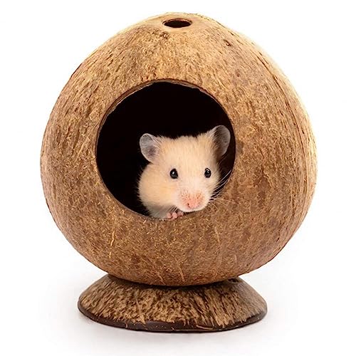 Hamsterkäfig Kleintier Meerschweinchennest Hamsterkäfige und Lebensräume Hamsterhaus Kleintierversteck Haus Hamsterunterkunft von CLoxks