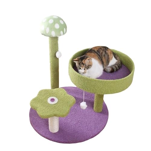 kratzbaum für große Katzen Katze Klettergerüst Pilz Katze Heimtierbedarf Lustiges Katzenkratzbrett Katzenkratzbaum Spielzeug Katzenbedarf katzenhaus drinnen (Color : Groen) von CLoxks