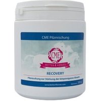 CME Recovery 300g von CME