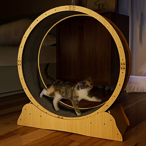 Katzenlaufrad Hochleistungs-Laufrad für Katzen, Großes Mittelgroßes Kleines Leises Katzenlaufrad für Wohnungskatzen, Katzenkratzbrett Katzenlaufrad 80/90/100/113cm ( Size : M-Inner Diameter 90cm(35 3/ von CMYUN