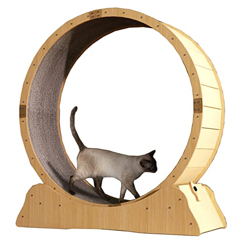 Katzenlaufrad Katzenlaufrad für Wohnungskatzen, Holz Kätzchen Erwachsene Katze Laufrad Spielzeug, Kleine Lücke Sichere Katze Laufband Übung Riesenrad Groß ( Size : M-Inner Diameter 90cm(35 3/8") ) von CMYUN