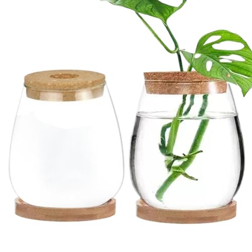 2pcs Pflanzen Terrarium Transparent Deckelanlage Propagationsstation mit Tray Hydroponic DIY-Ausbreitung Jars für Home Office Desktop, Drop-förmiger von CNAFGBGG