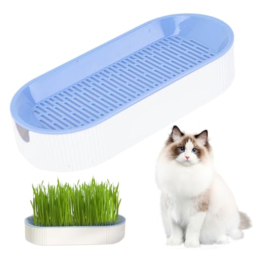 CNAFGBGG 1pc Cat Gras Pflanzer Dual Schicht Abnehmbarer Hydroponic Cat Grass Pflanzer PP 8.3x3.6x1.8in Home Cattery Cat Grass Anbau Katze Katze Vorräte, Keine Samen von CNAFGBGG