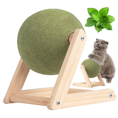 Katzenkratzerspielzeug interaktive Katzenkratzpfosten sicherer Katzenminzen -Katze Kratzkugel mit Holzständer Katzenminze Bloß Ball Spielzeug Katzenkratzer -Kugelspielzeug für Innenkatzen s s von CNAFGBGG