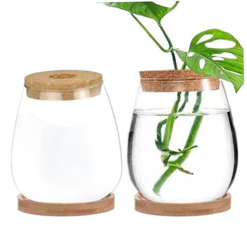 Plant-Terrarium 2-pcs Transparent Deckel Plant Propagation Station mit Tray Hydroponic DIY Propagation Gläser für Home Office Desktop, Drop-förmiger von CNAFGBGG