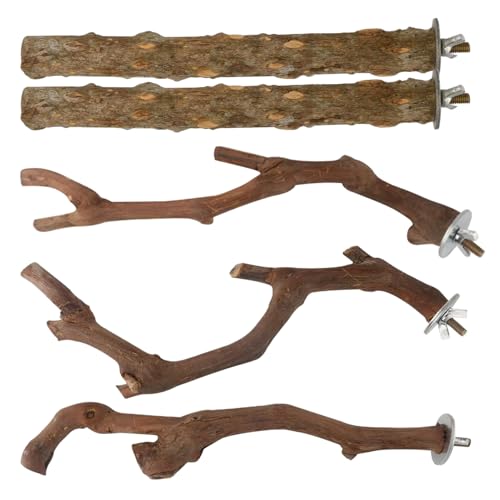 Vogelperch 5pcs/Set natürlicher Papagei von CNAFGBGG