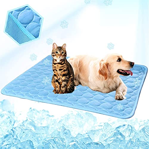 Kühlmatte für Haustiere Sommer -Kühlmatte for Hunde Katzen Hundekühlungsmatte atmungsaktives Haustierkistenpad tragbare Waschkühldecke Decke (Color : Blue, Size : L 70X55CM) von CNRTSO