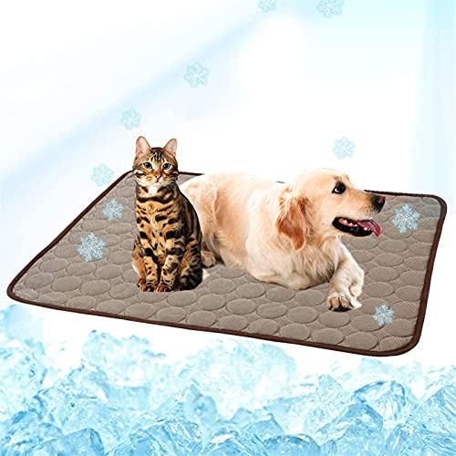 Kühlmatte für Haustiere Sommer -Kühlmatte for Hunde Katzen Hundekühlungsmatte atmungsaktives Haustierkistenpad tragbare Waschkühldecke Decke (Color : Chocolate, Size : L 70X55CM) von CNRTSO