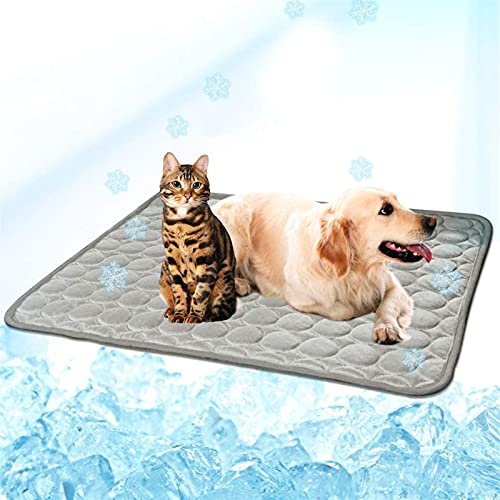 Kühlmatte für Haustiere Sommer -Kühlmatte for Hunde Katzen Hundekühlungsmatte atmungsaktives Haustierkistenpad tragbare Waschkühldecke Decke (Color : Grey, Size : L 70X55CM) von CNRTSO