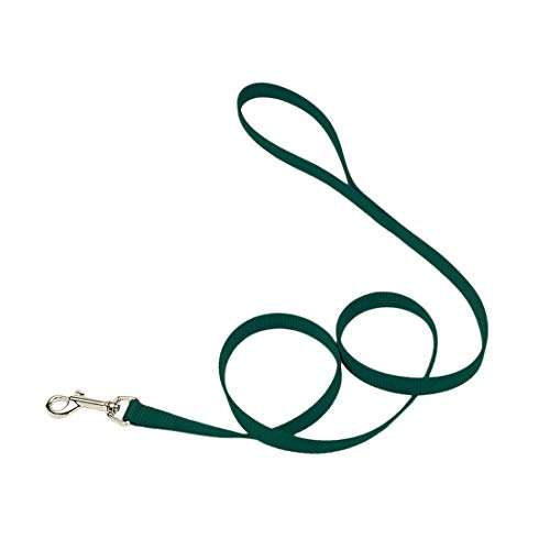 Coastal Products Pet Training Lead Nylon Puppy Leash Adjustable DarkGreen 6Ft von COA