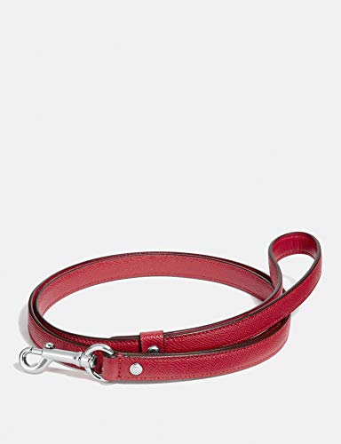 Coach Hundeleine, Small, SV/Rot von COACH