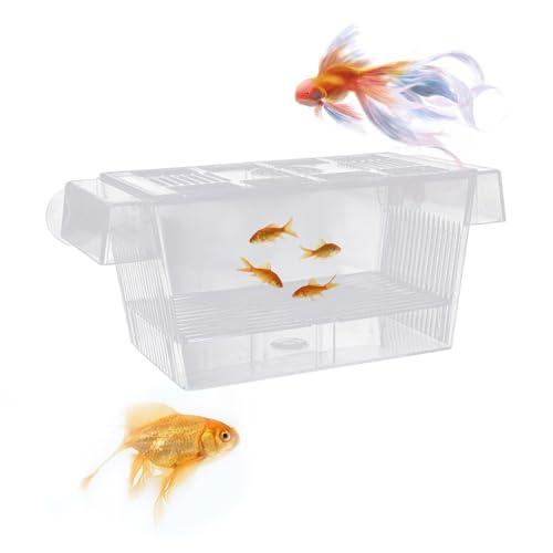 1 Stück transparente Fischisolationsbox, Doppelschichtige Fischvermehrungbox, schwimmender Jungfischaufpflegenbox, Multifunktionsaquarium mit Saugnapf (12,6 * 7 * 7 cm) von COACOM