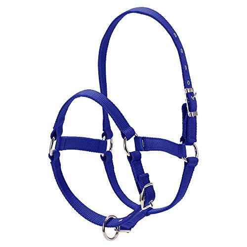 COCOCO 6Mm Reiten Reitsport Verdicktes Pferdekopfhalsband Einstellbare Sicherheit Halfter Trense Kopfhalsband Reitausrüstung-Blau L. von COCOCO