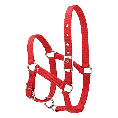 COCOCO 6Mm Reiten Reitsport Verdicktes Pferdekopfhalsband Einstellbare Sicherheit Halfter Trense Kopfhalsband Reitausrüstung-Rot L. von COCOCO