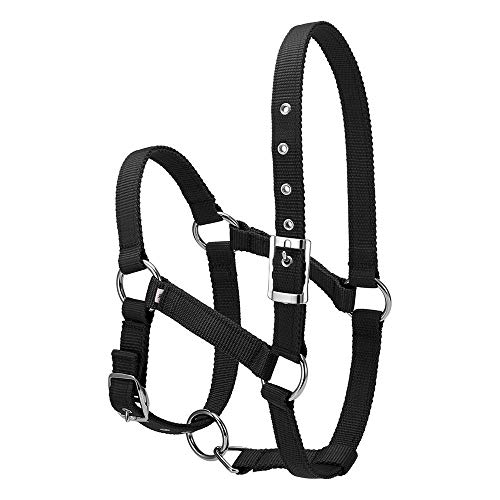 COCOCO 6Mm Reiten Reitsport Verdicktes Pferdekopfhalsband Einstellbare Sicherheit Halfter Trense Kopfhalsband Reitausrüstung-Schwarz L. von COCOCO