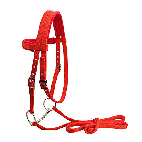 COCOCO Einstellbare Reitausrüstung Halfter Horse Bridle mit Bit und Reingurt für Pferdereiterzubehör Soft Thicken L Sty von COCOCO