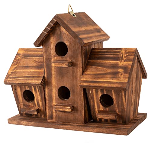 COLEBA Vogelhäuser für den Außenbereich, Outdoor 4 Löcher Vogelhaus Zimmer für 4 Vogelfamilien Bluebird Finken Kardinals Hängendes Vogelhaus für Garten (4 Zimmer, Holz) von COLEBA