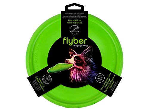 COLLAR flyber Lenkrad Interaktives Hundespielzeug, Durchmesser 22 cm von COLLAR