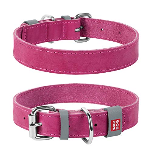 Halsband WAU Dog Classic Leder Hund für kleine Hunde, mittelgroße Hunde, große Hunde | bestes Leder für Hunde, XXS- 1/2" Width X 7 1/2" - 10" Length, rose von COLLAR