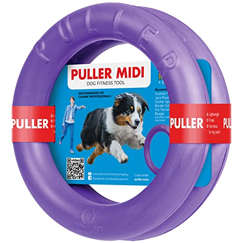 Hundespielzeug Große Hunde Spielzeug für Kleine Hunde Wurfspielzeug Robustes Hundespielzeug Wasserspielzeug Hund Spielzeug Puller Ring Hund Wurfspielzeug Hund Ring von COLLAR