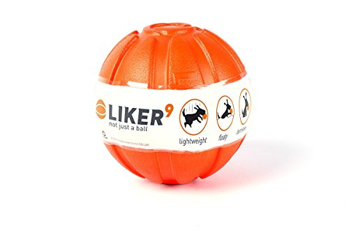 Liker 6294 Einzigartige Harmless Leichte Trainingsball für Hunde von COLLAR