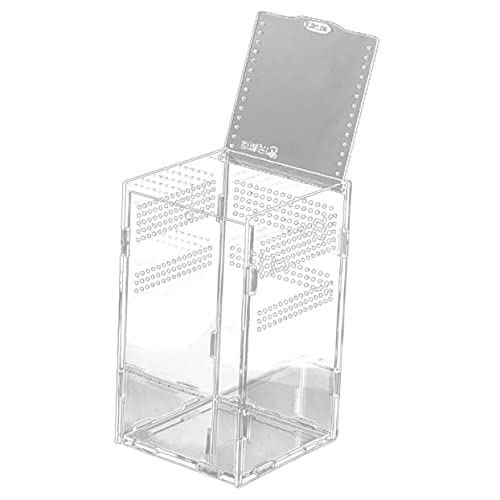 1 Satz transparente Futterbox Reptil Haustier Spinnentankkästen Bausatz Gecko Terrarium schildkröte Terrarium Spinnen Terrarium praktische Boxen Schlangenfälle Acryl COLLBATH von COLLBATH