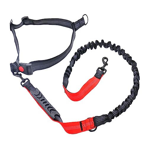 COLLBATH 1 STK elastisches Laufseil Zugseil Hundeleine Gürtel Hundespaziergang Hunde-Bungee Keine Zugleine für Hunde Dog Lead hundeseile Trainingsleine für Hunde Haustier Bungee Seil rot von COLLBATH