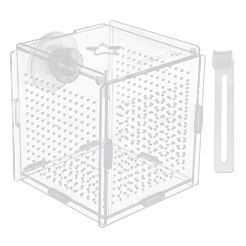 COLLBATH 1 Satz Betta-Box Vakuum Pumpe kleines Aquarium Saugnapf großes Aquarium Netz Easy putz aquaristik zubehör Zuchtfall für Aquarien Inkubator für Fischtankbrütereien Acryl Transparent von COLLBATH