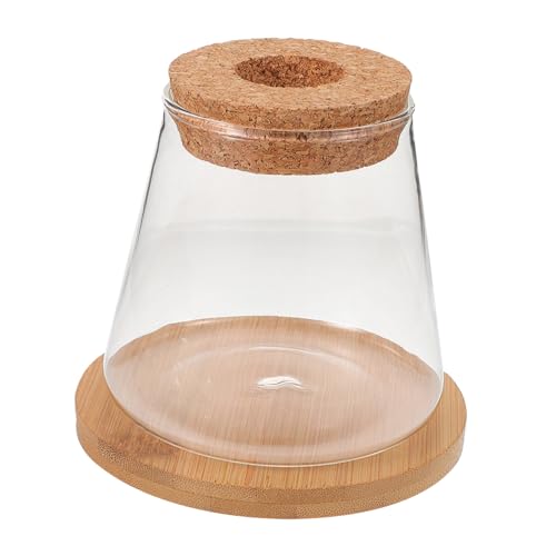 COLLBATH 1 Satz Hydroponisches Aquarium Aus Glas Glasvasen Glasbehälter Glasierte Vase Eincremehilfe Glasterrarium Bambusmatte Links Transparente Flasche Pflanzenterrarium Tischschmuck Holz von COLLBATH