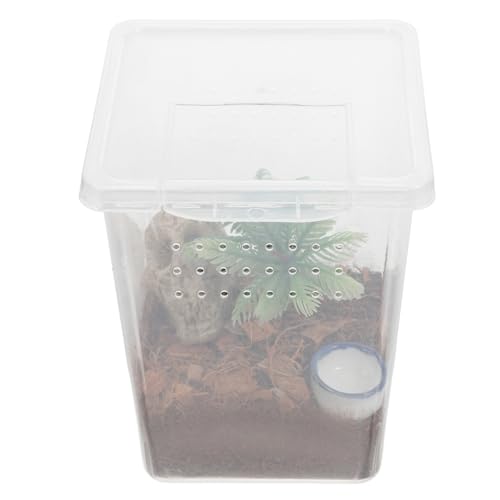 COLLBATH 1 Set Haustier Spinnenbox Tiere Das Tier Haustier Laufstall Innen Transparent Springspinnenkäfig Spinnenhabitat Kunststoff Insektenhabitat Hülle Springspinnengehege Kleines von COLLBATH