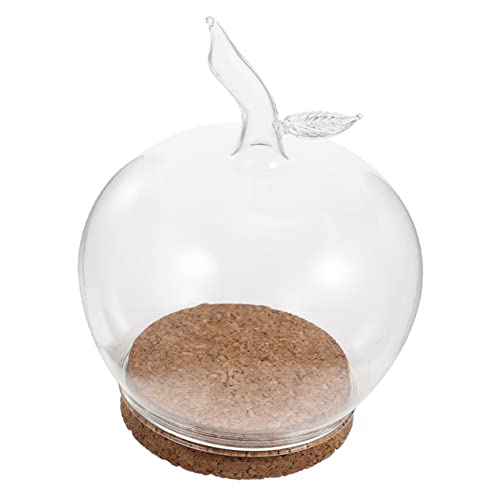 COLLBATH 1 Set Terrarium Sukkulenten Fotos Für Lichter Pflanzen Cloche Dome Äpfel Pflanzen Tablett Blumenpuppe Füllkerze Weihnachtsdekoration Medaillen Abdeckung Durchsichtigem von COLLBATH