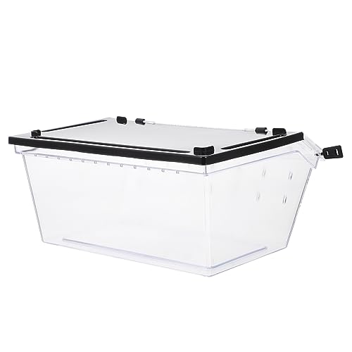 COLLBATH 1 Stück Karton Futterbox für Reptilien Reptilienterrarium transparente Eidechsenhäuser Spinne insektenbox Insekten Box Zuchtkäfig für Haustiere Heimtierbedarf Plastik Black von COLLBATH