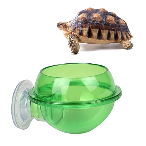 COLLBATH 1Pc Turtle Trinkschüssel Haustier Feeder Tiere Die Tier Echsenfutter Feeder Kleine Haustier Trinkschüssel Reptilienfuttermittel Echtigkeit Fütterungsschale Grün Grün von COLLBATH