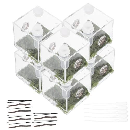 COLLBATH 2 Sätze Springspinnen-Zuchtbox Springender Spinnenlebensraum Ameise Käfig Mikrohabitat-Terrariumgehege Insekt Tank Spinnen Box spinnenbox Fütterung Fall Sprungspinnengehege Acryl von COLLBATH