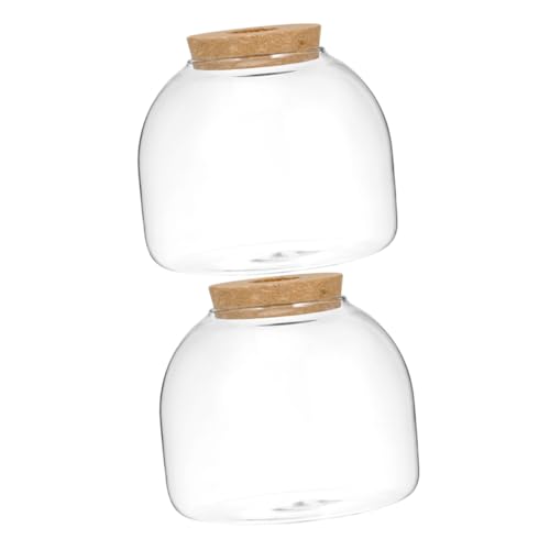 COLLBATH 2 stücke -Landschaft Jar Simbae Anlage Terrarium Hydrokultur Flasche Dekorative Glas Flasche Moos Pflanze Container von COLLBATH