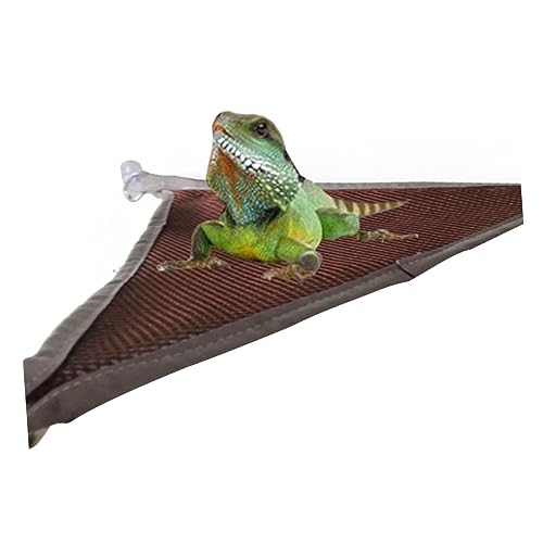 COLLBATH 2 Stücke Reptilien-Hängematte haustierbett pet Bed petbett Haustier Haustierspielzeug tragen Hängematte Haustier hängendes Bett Reptilien hängendes von COLLBATH