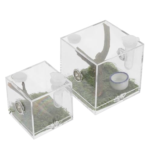 COLLBATH Spinnen-lebensraumbox Mit Luftbefeuchter – Insektenzuchtbox Aus Acryl Für Einfache Beobachtung COLLBATH Spinnen-lebensraumbox Mit Luftbefeuchter – Insektenzuchtbox Aus Acryl Für Einfache Beobachtung von COLLBATH