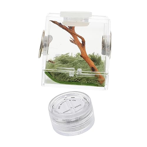 COLLBATH 2Er-Box Springspinnen-Zuchtbox großes Terrarium großer Laufstall Träger Reptil Spinnenhaltungsbox Kleine Spinnenbox gehäuse Springender Spinnenkäfig Lebensraum der Spinne Holz von COLLBATH