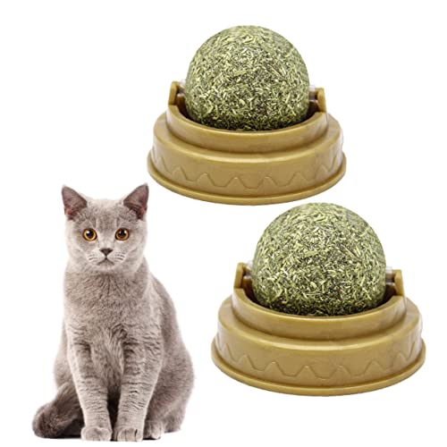 COLLBATH 4 Stück Katze behandelt Minzkugel Katzensachen katzenminze Catnip Katzen leckerli Katzen Snack laufstall Katze leckt Ball Ballspielzeug zum Aufkleben an der Wand Green von COLLBATH