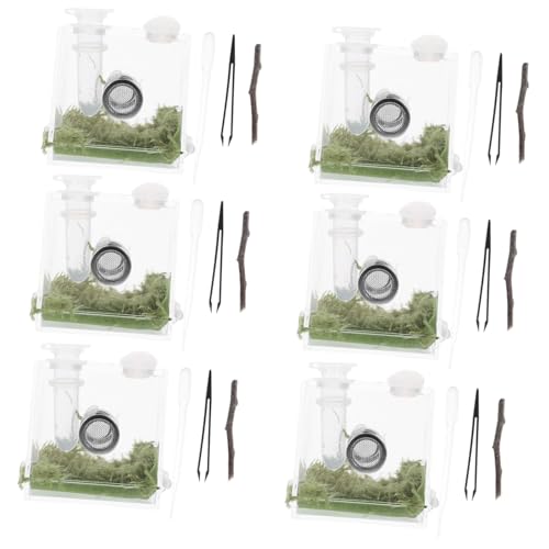 COLLBATH Springspinne Terrarium Zubehör 6 Sets Springspinne Zuchtbox Spinnengehege Echsengehege Schneckengehege Wirbellose Terrarium Springspinne Terrarium Incloser Springspinne Zubehör Acryl von COLLBATH